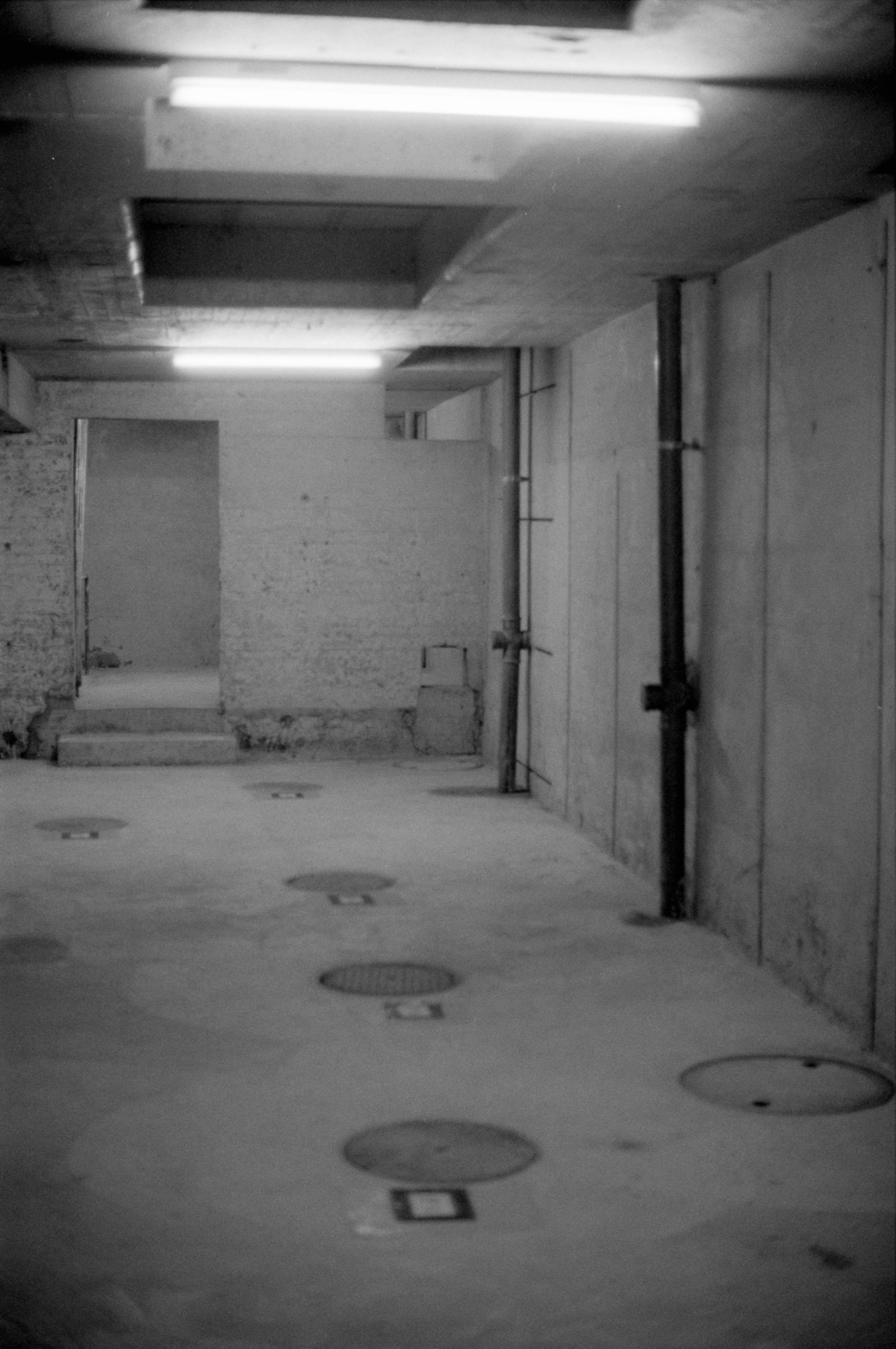 AHP F1994 11 008 sc250521 img25 NLP